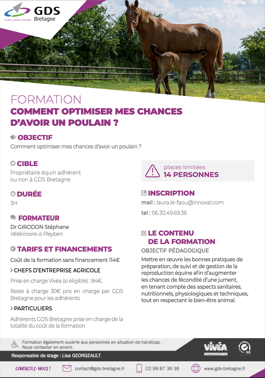 GDS Bretagne - formation pour la section équine.