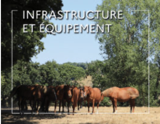 WEBconférence : La filière équine face au changement climatique