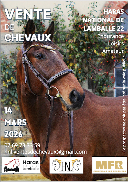 Vente de Chevaux
