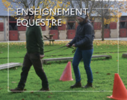 WEBconférence : Transferts d'apprentissages, enseigner autrement