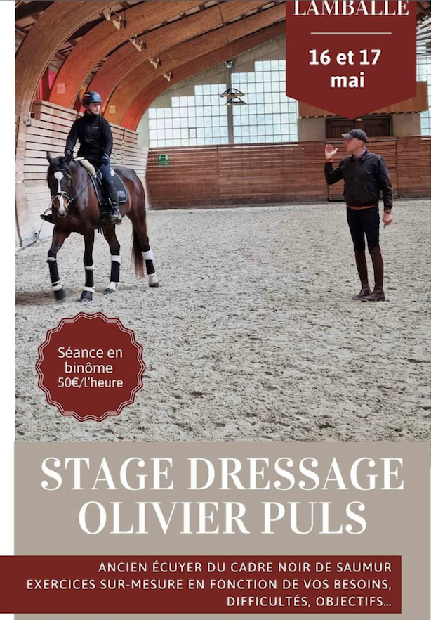 Stage de Dressage