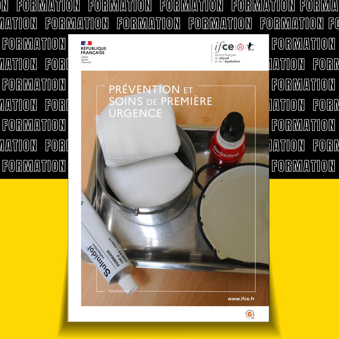 REPORTEE ! FORMATION : Prévention & soins de première urgence, Jusqu'où peut-on agir seul ?