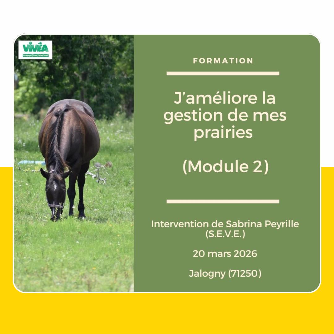 Formations : Alimentation et pâturage des équidés