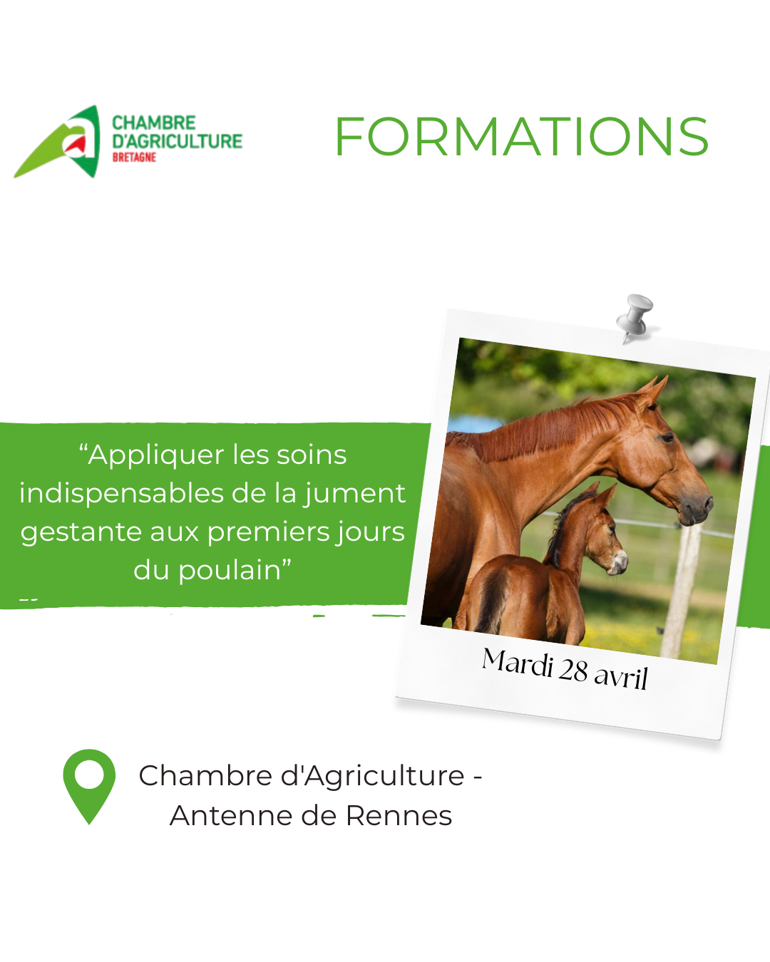 Formation – Soins de la jument gestante et du poulain