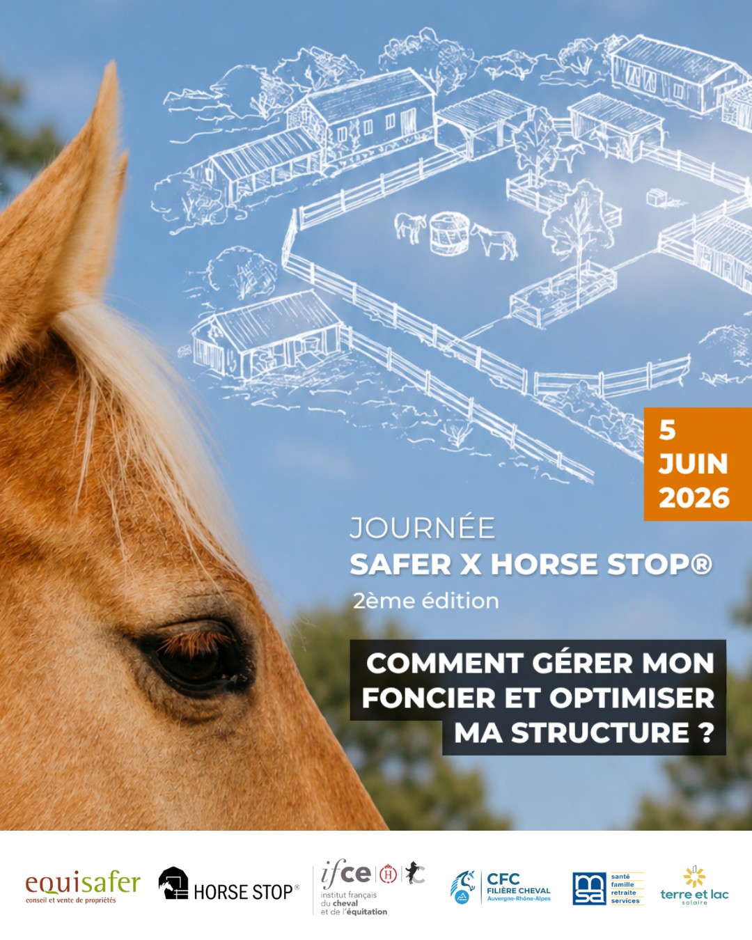 Journée Equisafer x Horse Stop