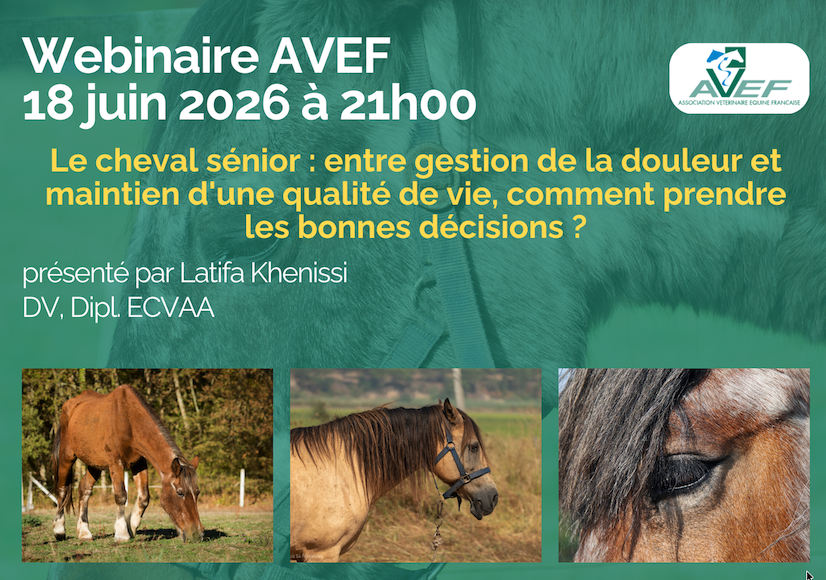 Webinaire AVEF