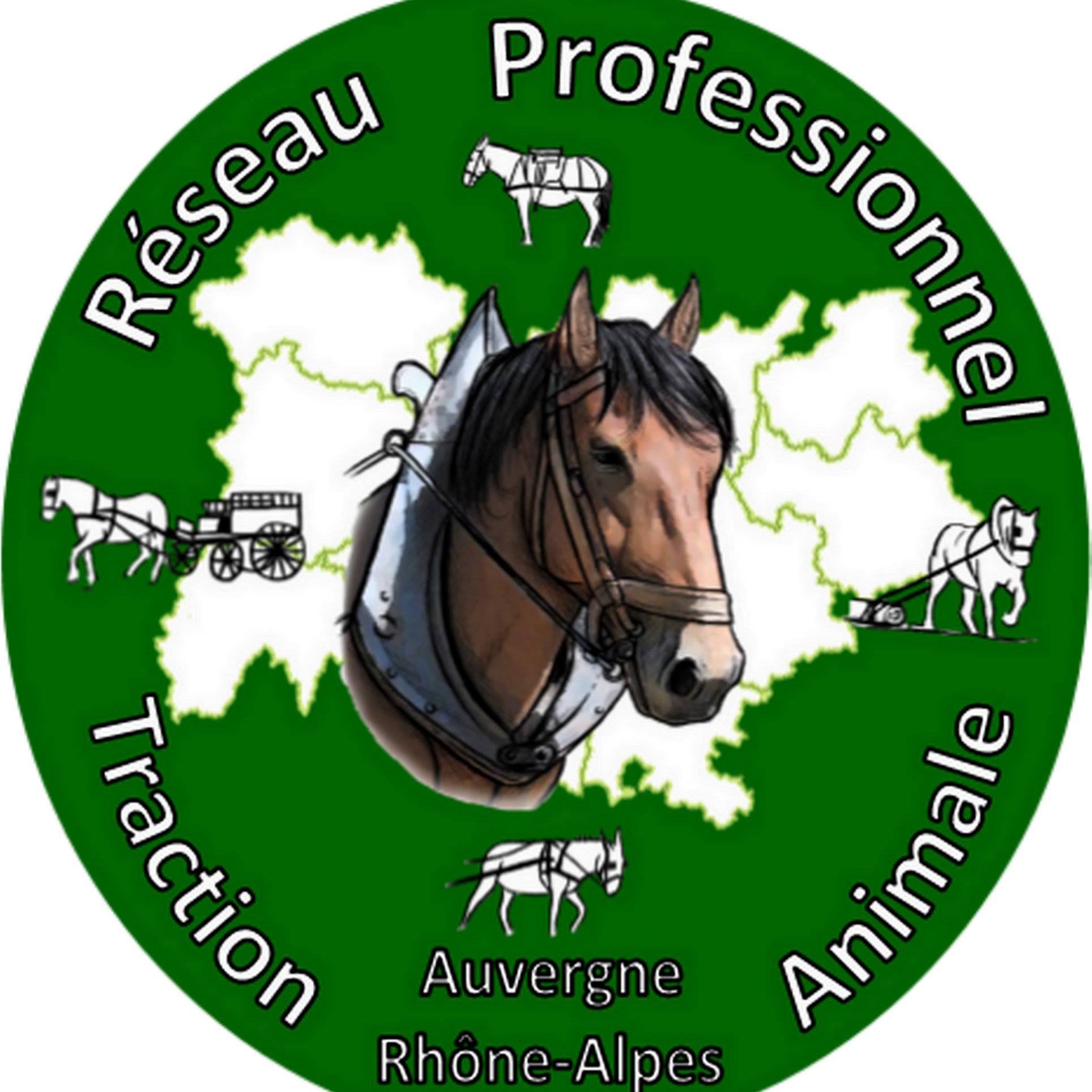 Journée d'échange sur la traction animale