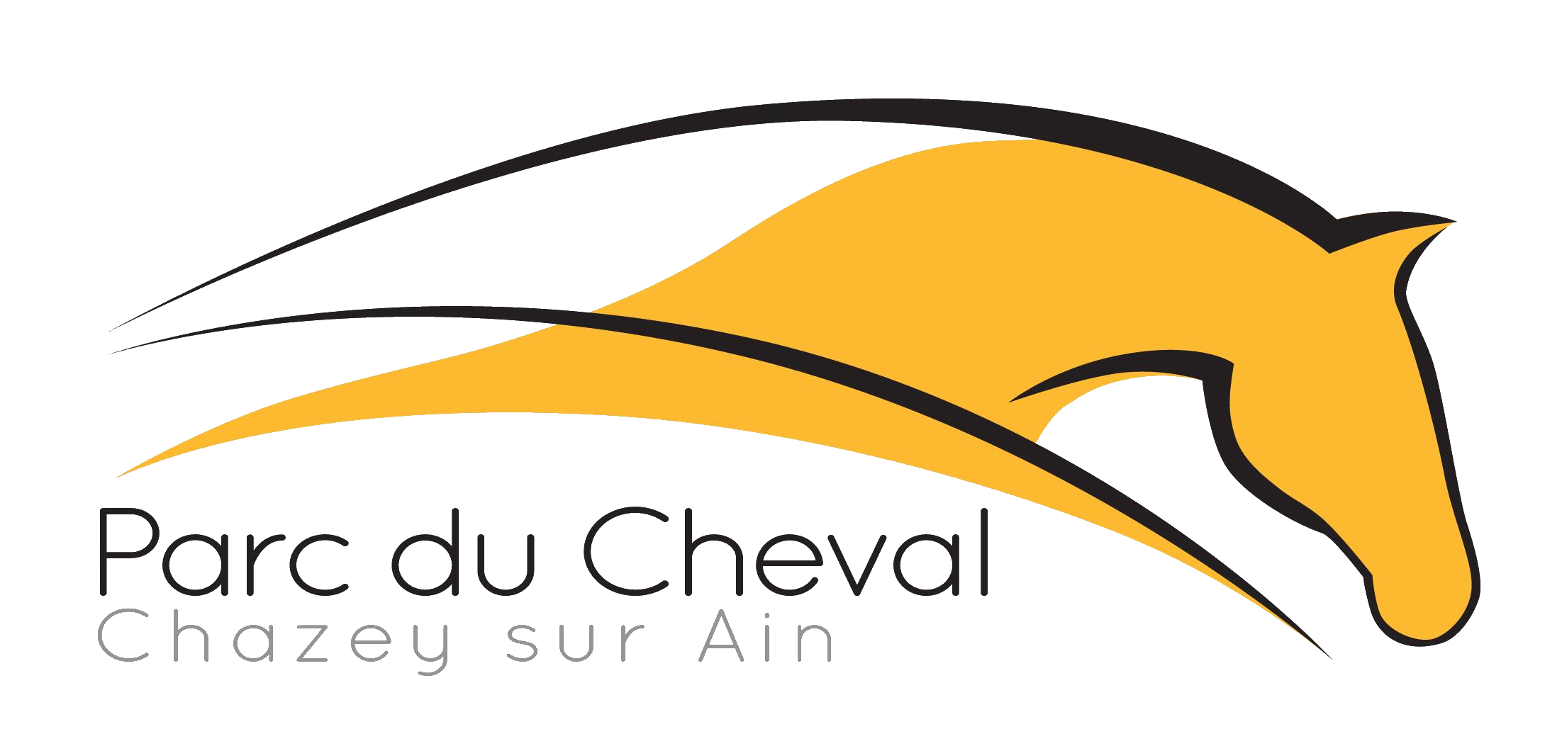 Grand rendez-vous SHF jeunes chevaux et poneys