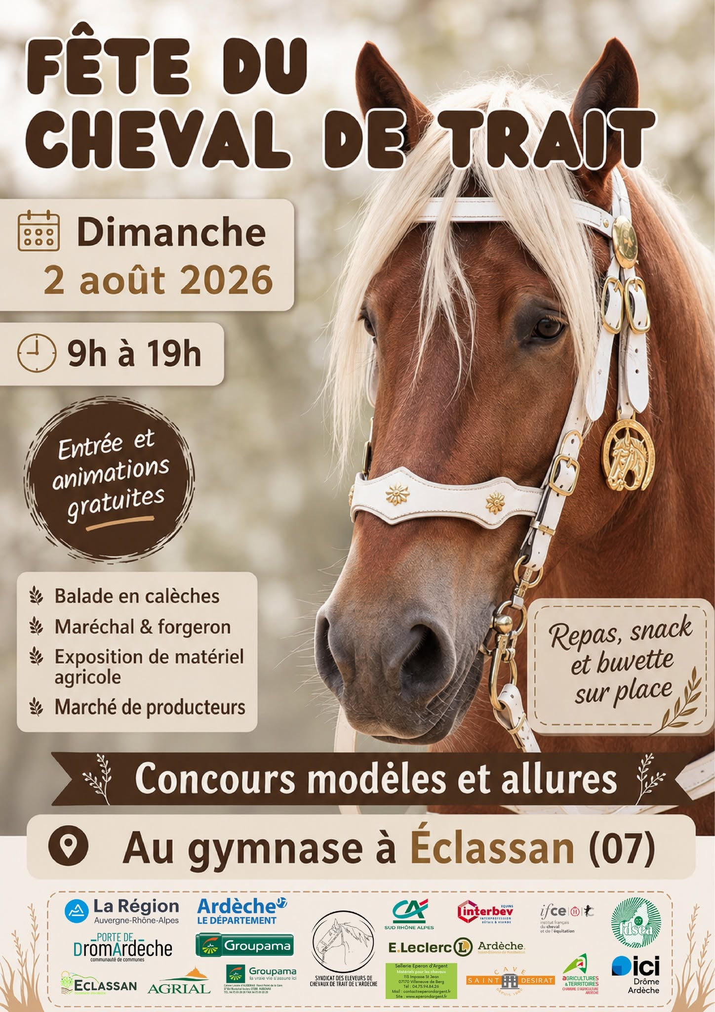 Local - Qualificatif - Femelles 2 et 3 ans - Selle Français et ANAA