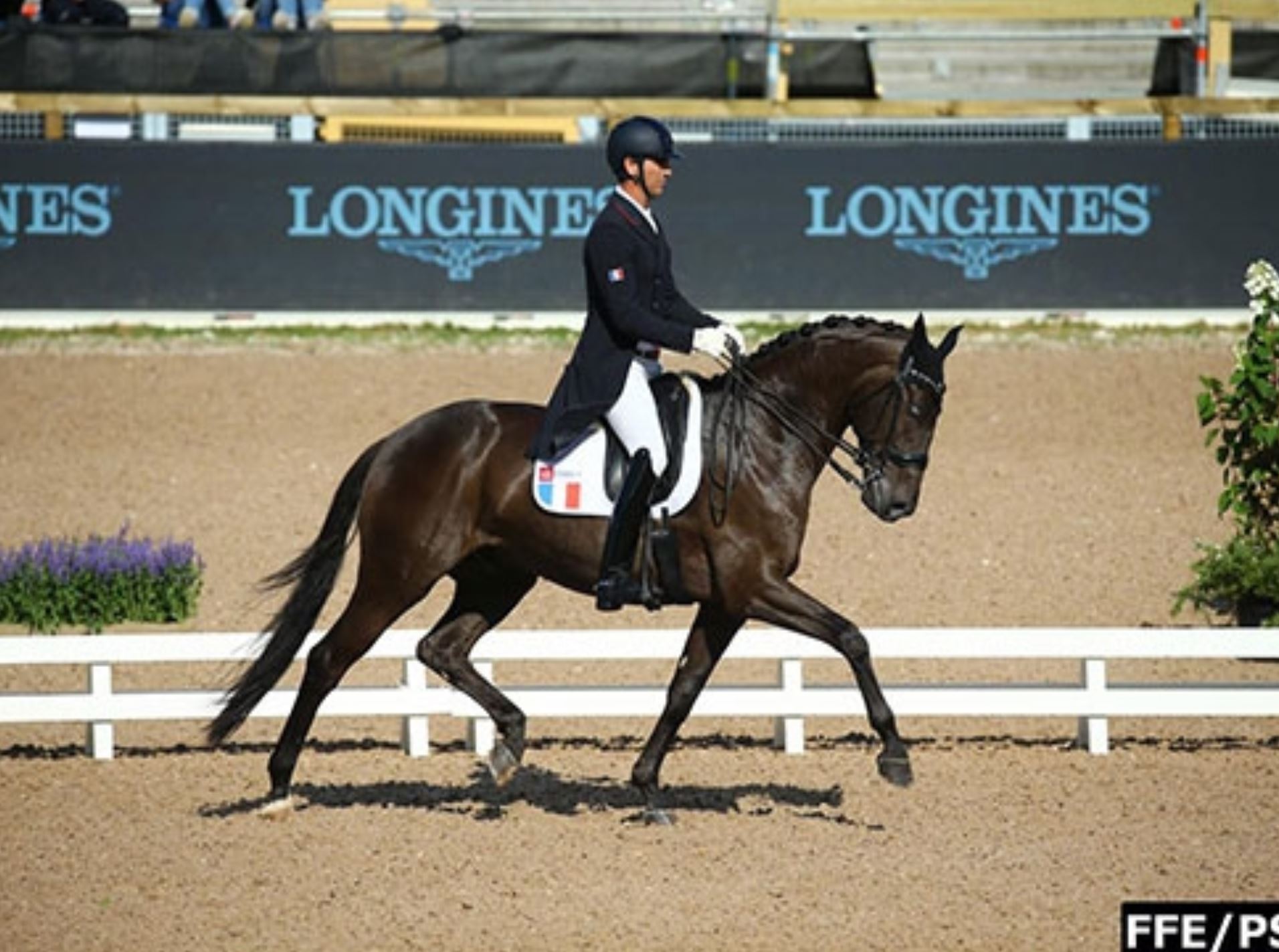 CDI 3* de Saumur : Arnaud Serre et Ultra de Massa 5è