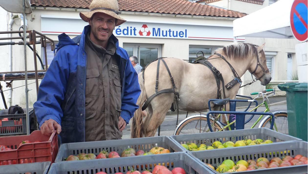 À cheval, le maraîcher livre ses légumes bios sur le marché
