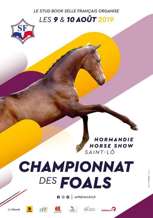 Championnat des Foals - Saint Lô