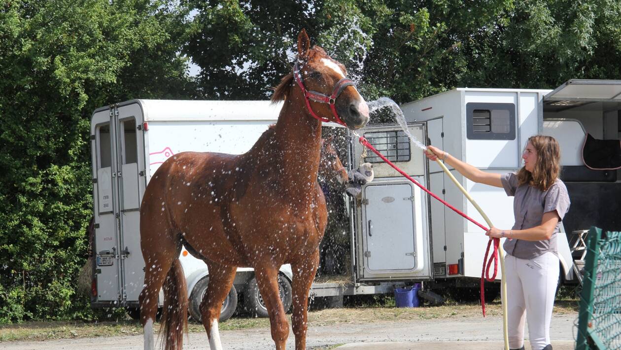 Les Herbiers. Chevaux et cavaliers à l’épreuve de la chaleur au Grand prix de la ville