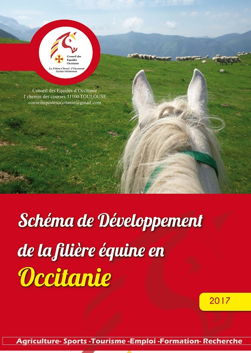 Le schéma de développement de la filière en Occitanie