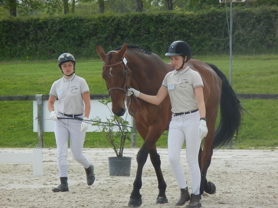 LE LYCEE DE SAINT CYRAN DU JAMBOT AU CHAMPIONNAT NATIONAL YOUNG BREEDERS SELLE FRANÇAIS