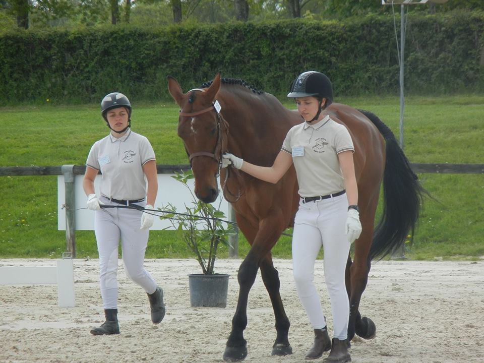 LE LYCEE DE SAINT CYRAN DU JAMBOT AU CHAMPIONNAT NATIONAL YOUNG BREEDERS SELLE FRANÇAIS