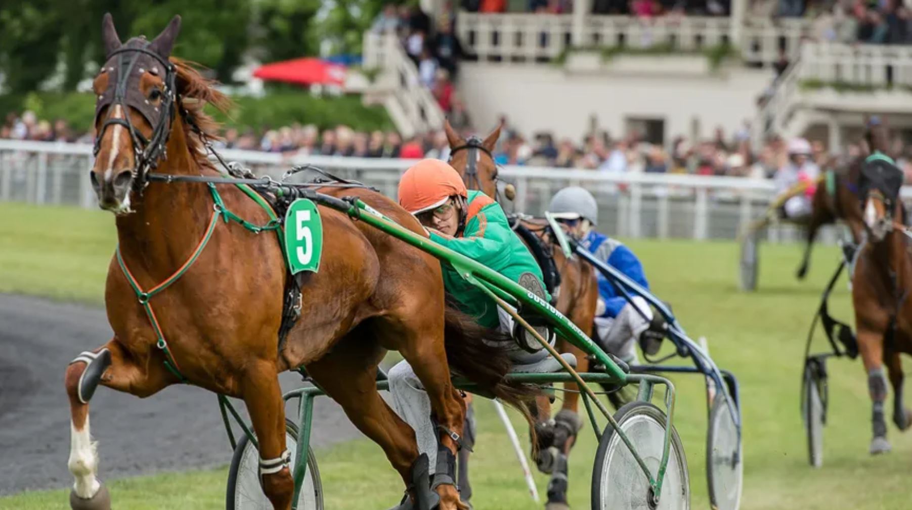 La saison 2019 démarre ce lundi à l'hippodrome de Laval