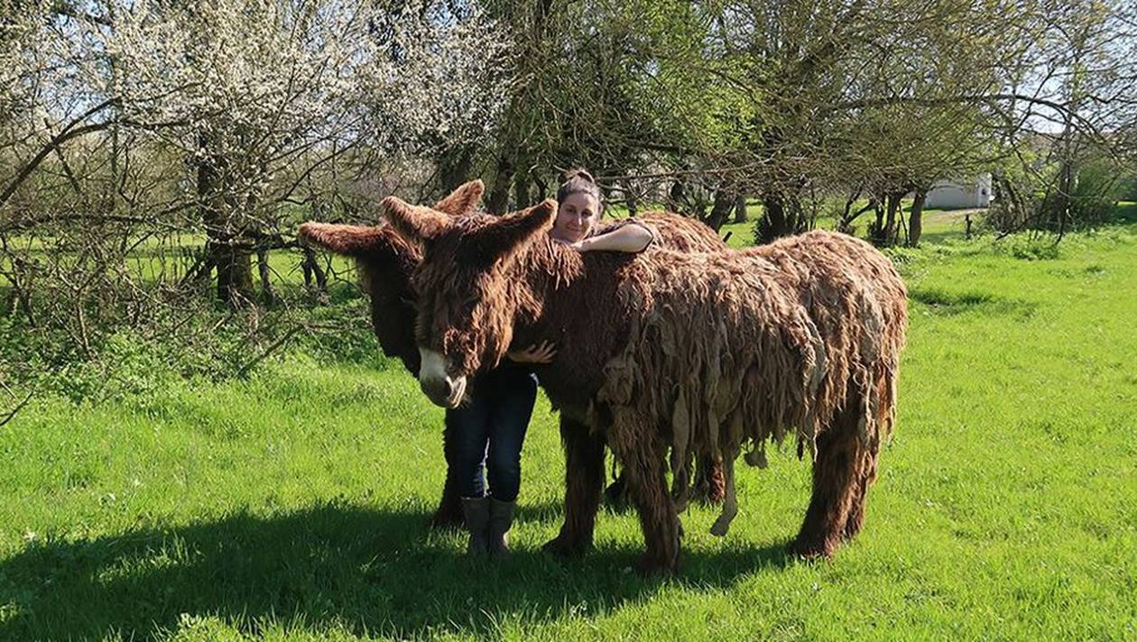 La ferme pédagogique de Sainte-Christine devient la Ferme du Marais poitevin