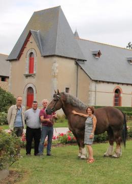 Cavales d'automne entre en lice avec le Cheval Breton