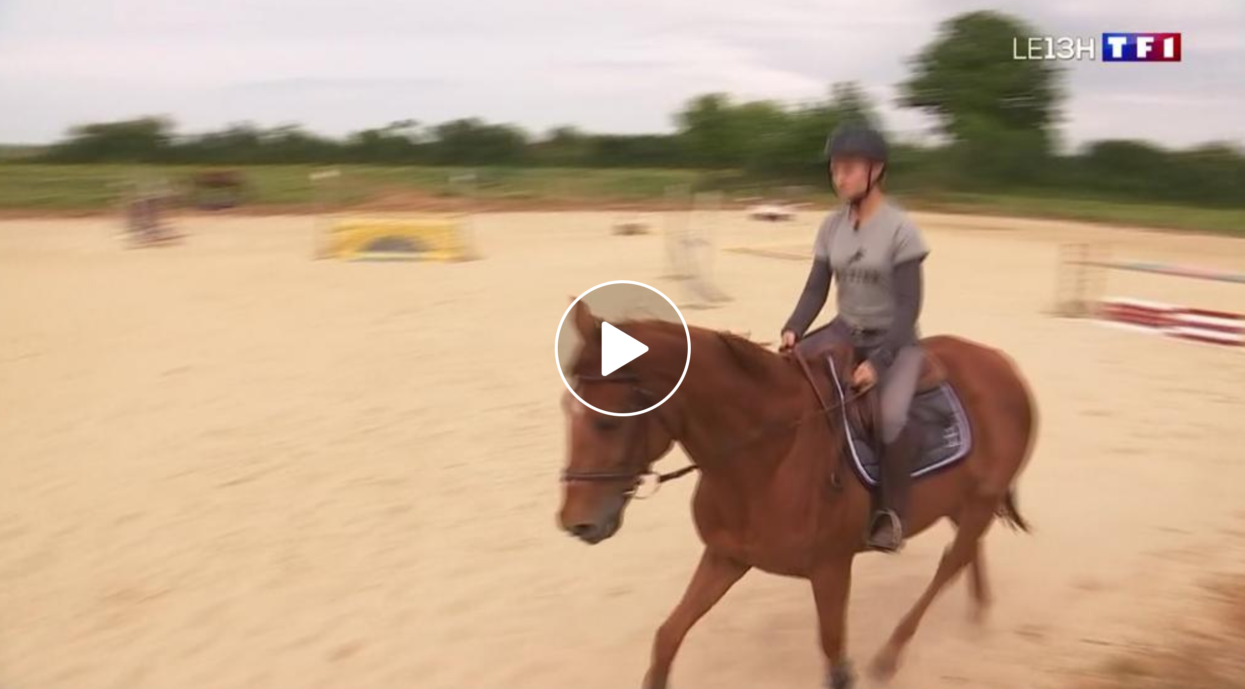 Ombrée-d'Anjou : une seconde chance pour des anciens chevaux de course