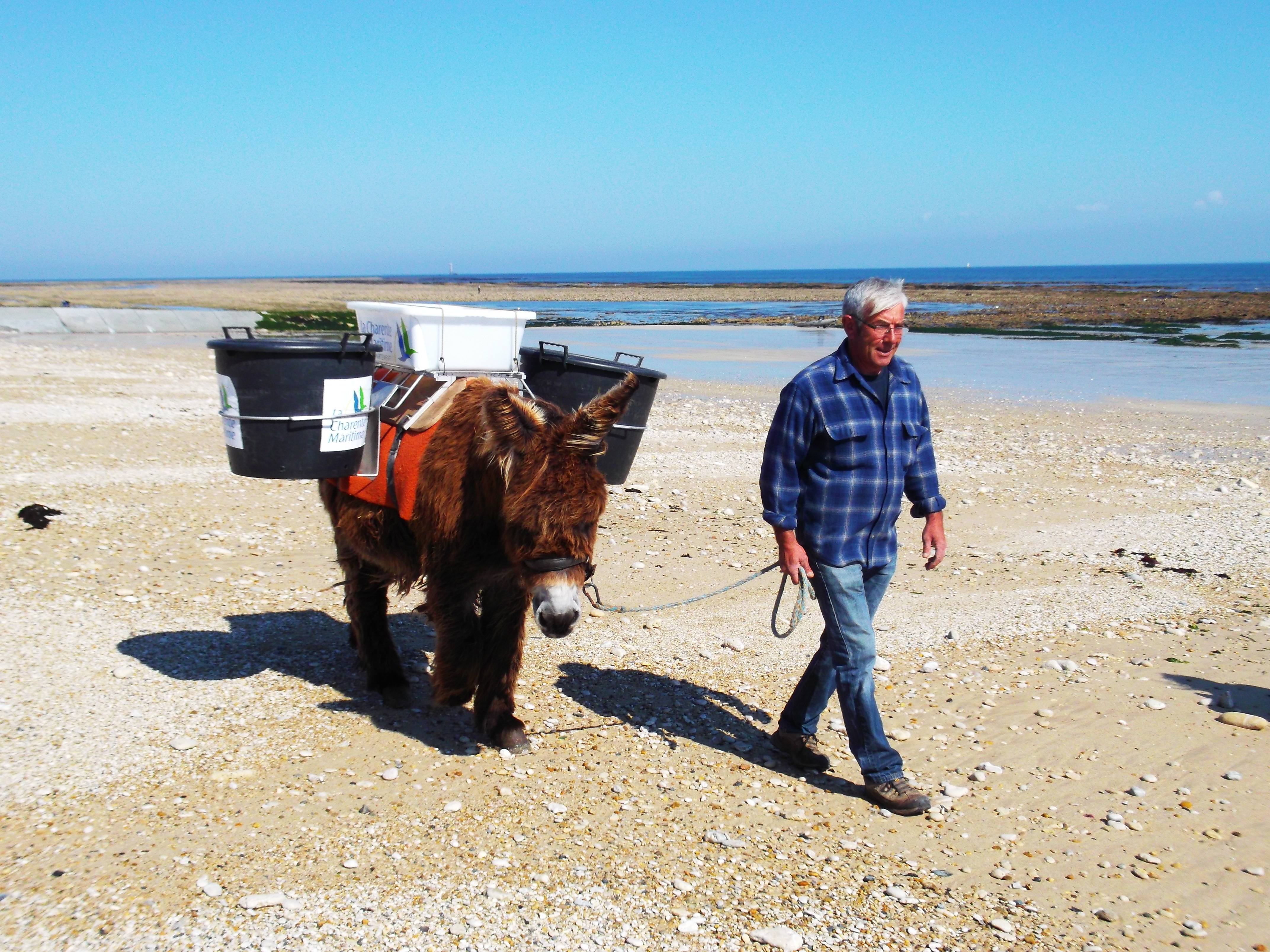 L'énergie cheval comparée aux énergies thermiques et électriques