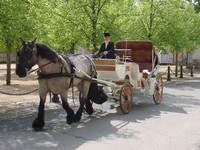 Journée Hippomobile