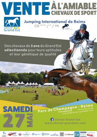 Vente à l'amiable de chevaux de 3 ans au Jumping CSI3* de Reims