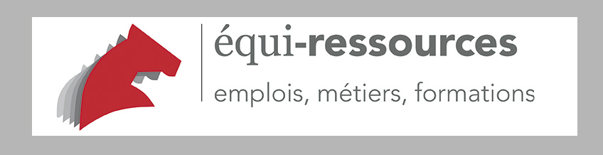 Offre d'Emploi