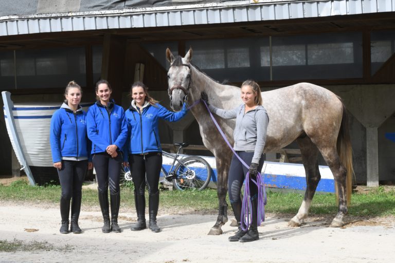 Roulez jeunesse ! Éducation du jeune cheval au programme des L2