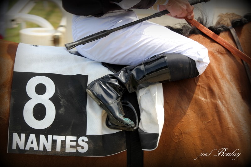 Clap de fin pour la saison estivale à l'Hippodrome de Nantes