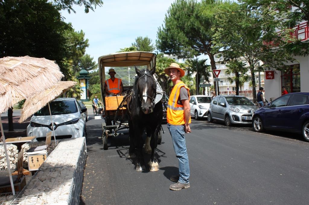 Insolite : à La Baule, les cartons des commerçants ramassés avec un cheval