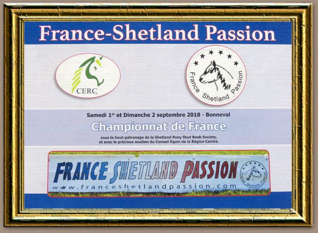 Résulats du Championnat de France de France Shetland Passion