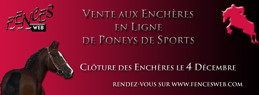 Vente de poneys en ligne