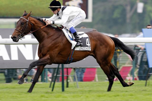 Centre de thalasso, le Haras de Limarzel accueille On Est Bien, son 1e étalon PS