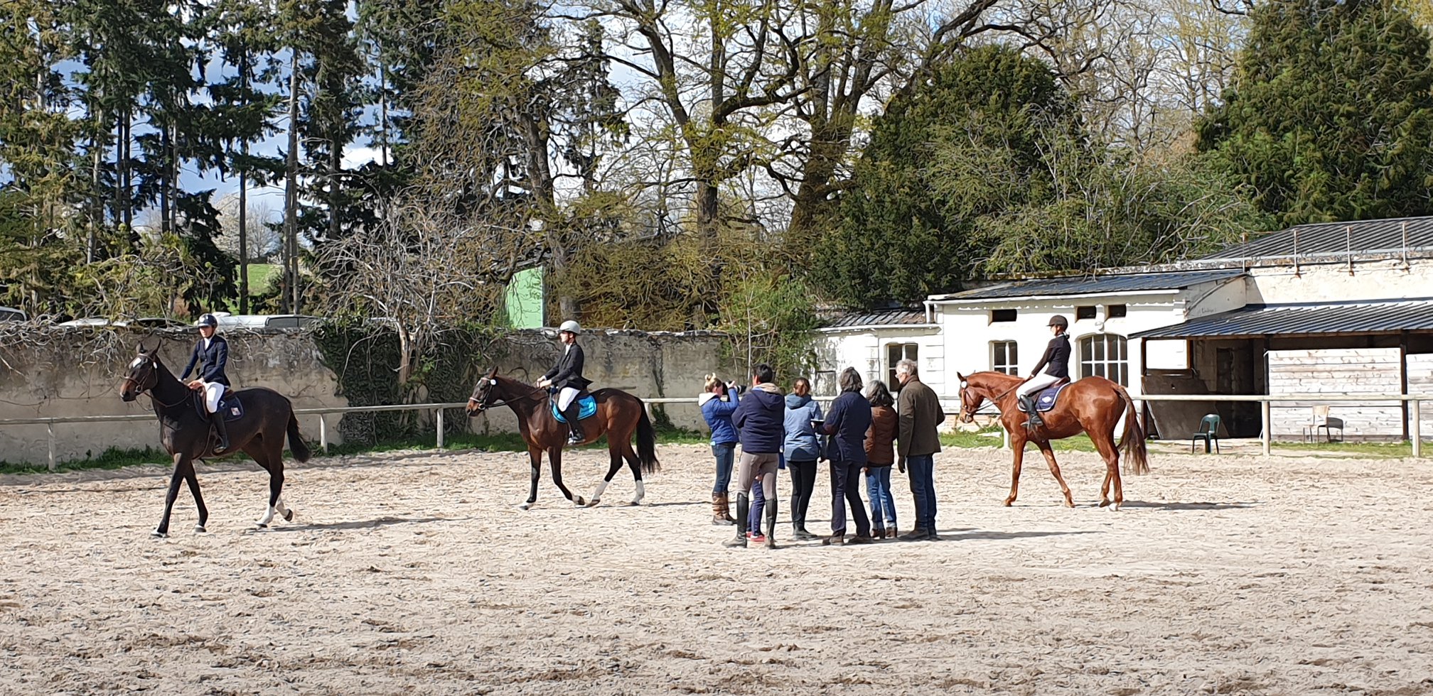 Concours Modèle et Allures jeunes chevaux de 2 et 3 ans à Saint Cyran du Jambot
