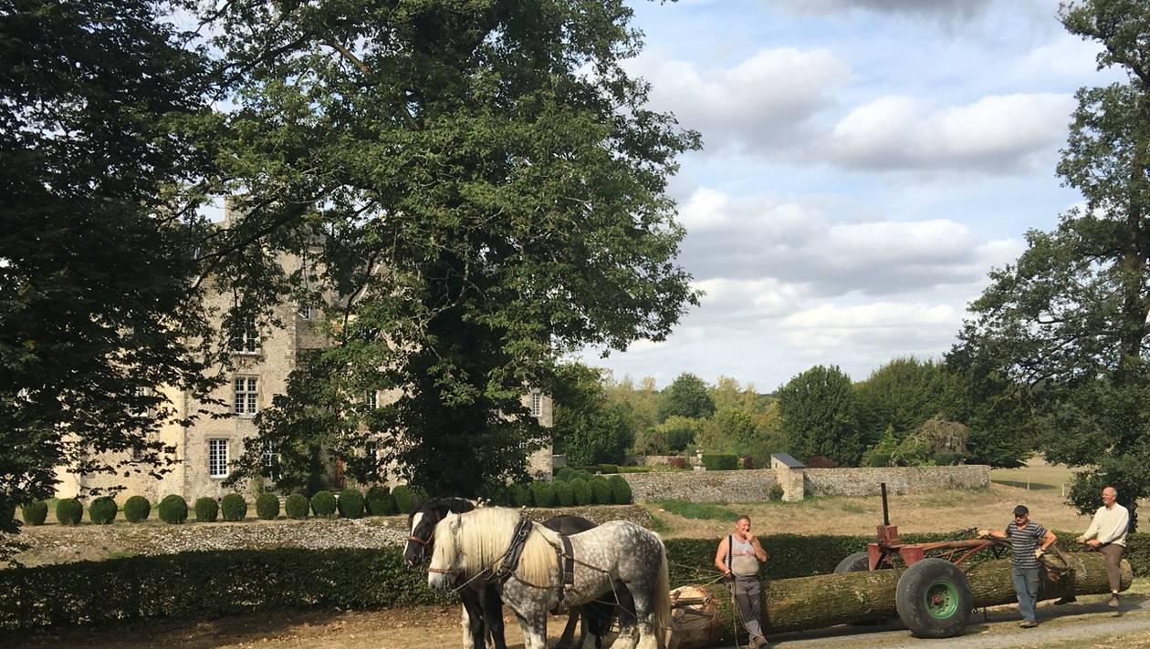 Montourtier. Le débardage du bois se fait à l’aide de chevaux