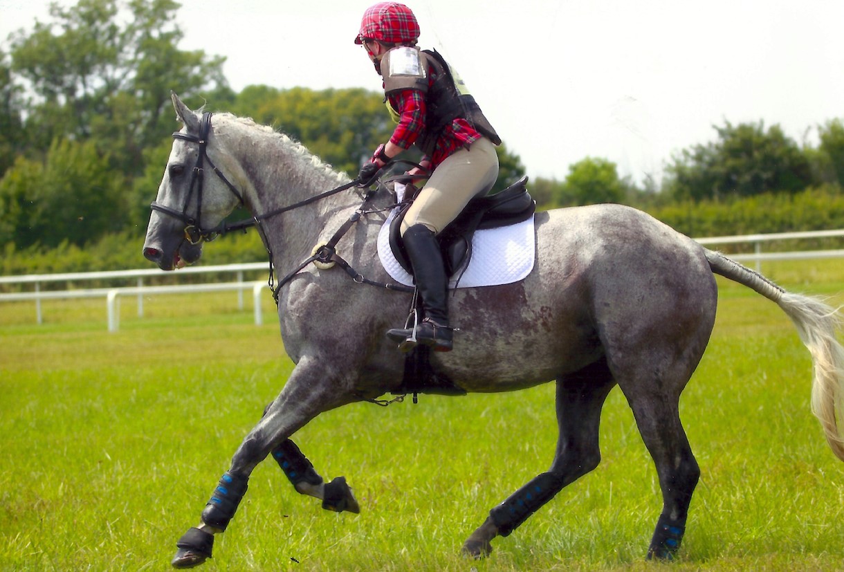 Une réussite pour le premier concours complet de l'hippodrome de Senonnes-Pouancé