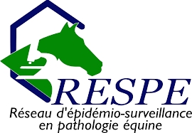 Informations RESPE : Appel à la vigilance : foyers d'Artérite Virale Equine