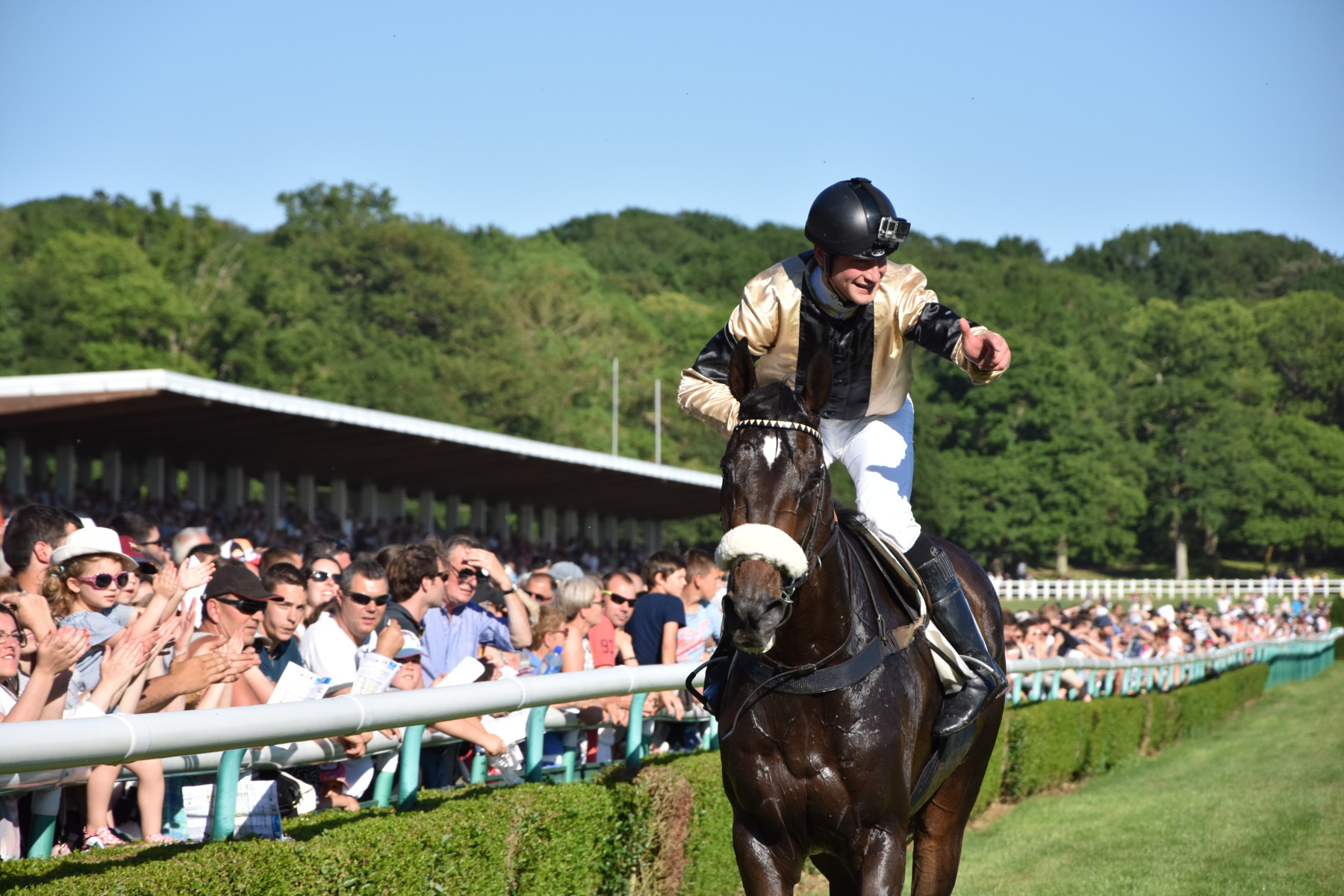 Une retraite bien méritée à Soeurdres pour le champion Posilox après son dernier Anjou-Loire