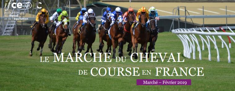 Note IFCE : Le marché du cheval de course en France