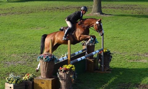 Bel Espoir du Jambot remporte la victoire en Hunter 6 ans lors de la finale à Fontainebleau