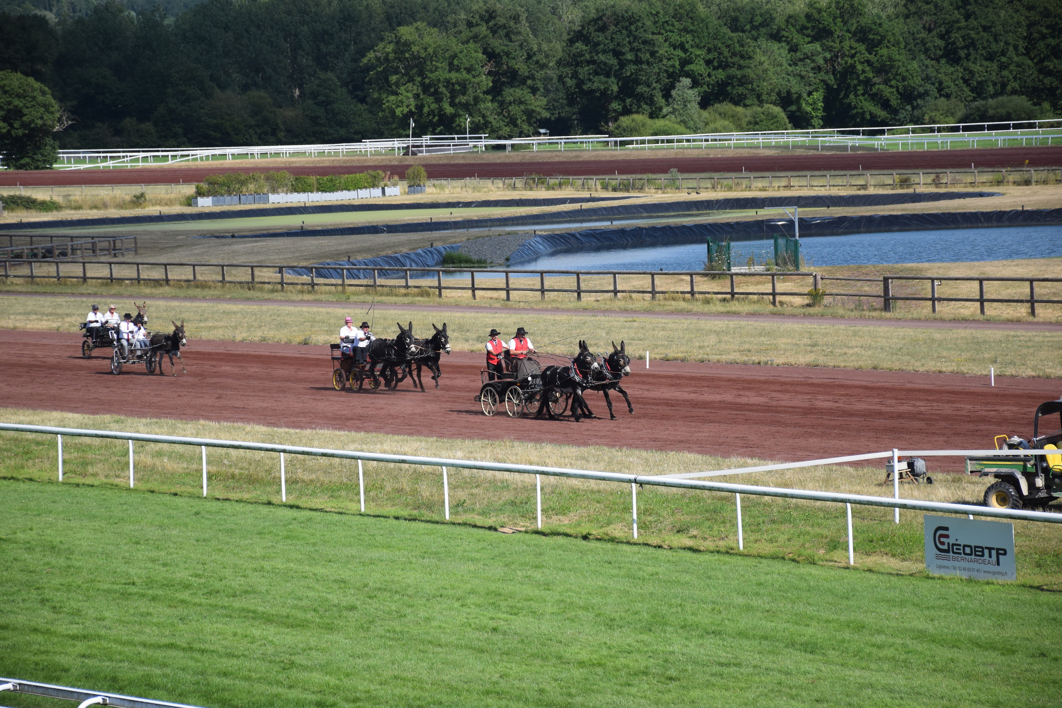 Présentation d'attelages d'ânes sur l'hippodrome de Lignières en Berry