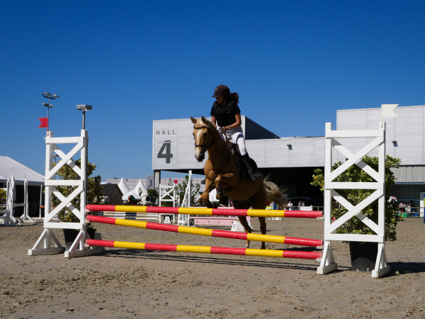 Salon Equitaine du 12 au 21 mai 2018