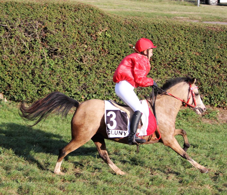 Résultats de la course de poneys de Cluny (71)