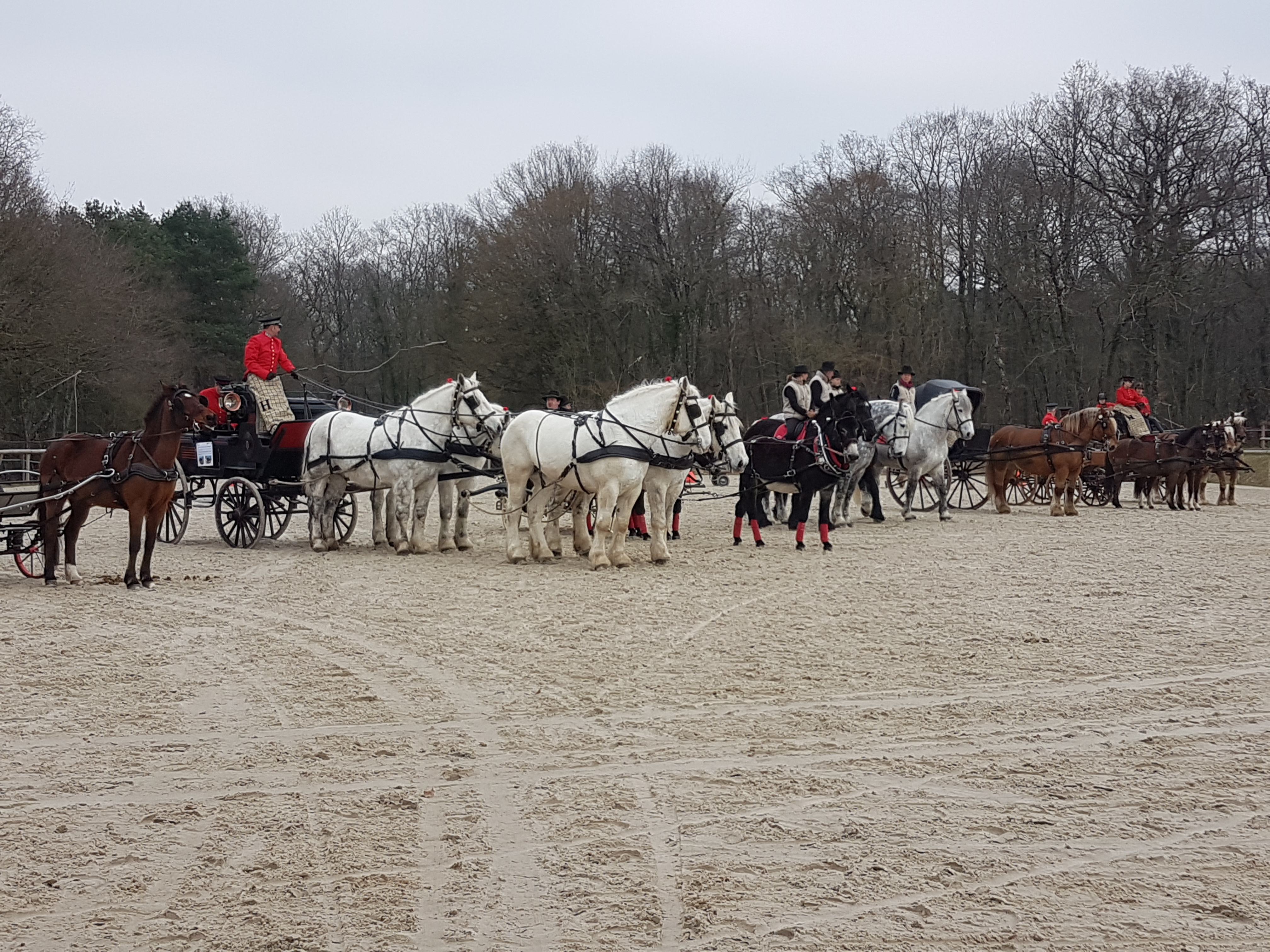 EQUITERRA - les journées des equidés de travail - 17 et 18 mars - Amboise