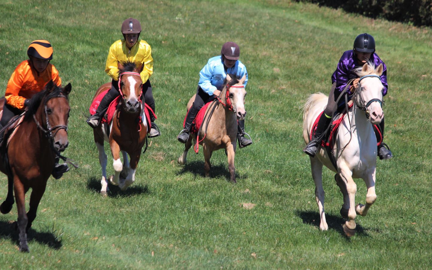 Au galop comme les pros !