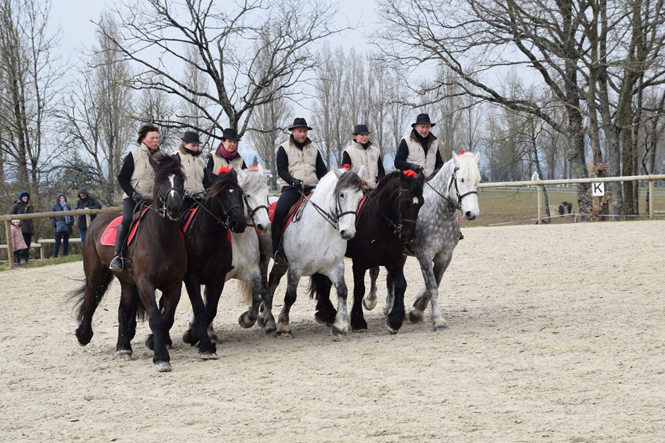 Les 2 et 3 juin prochain, Le syndicat 28/41 part en Angleterre pour célébrer le centenaire de la société du cheval Percheron anglaise !