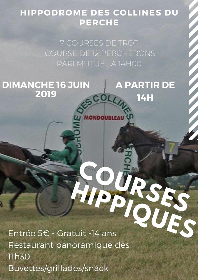 Course de Percherons à Mondoubleau le 16 juin