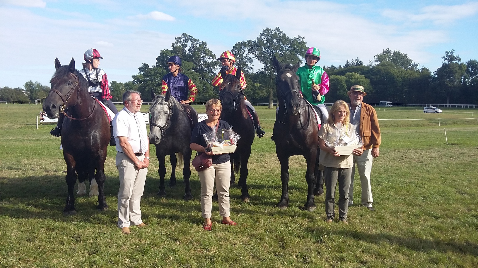 Course de Percherons sur l'hippodrome de la Ferte Vidame