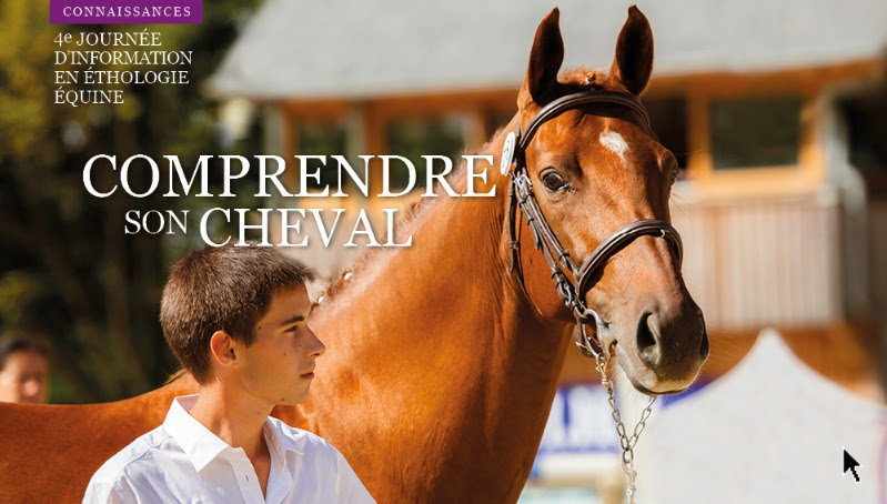 Comprendre son cheval : 4ème journée formation en éthologie équine - IFCE le 18 mai